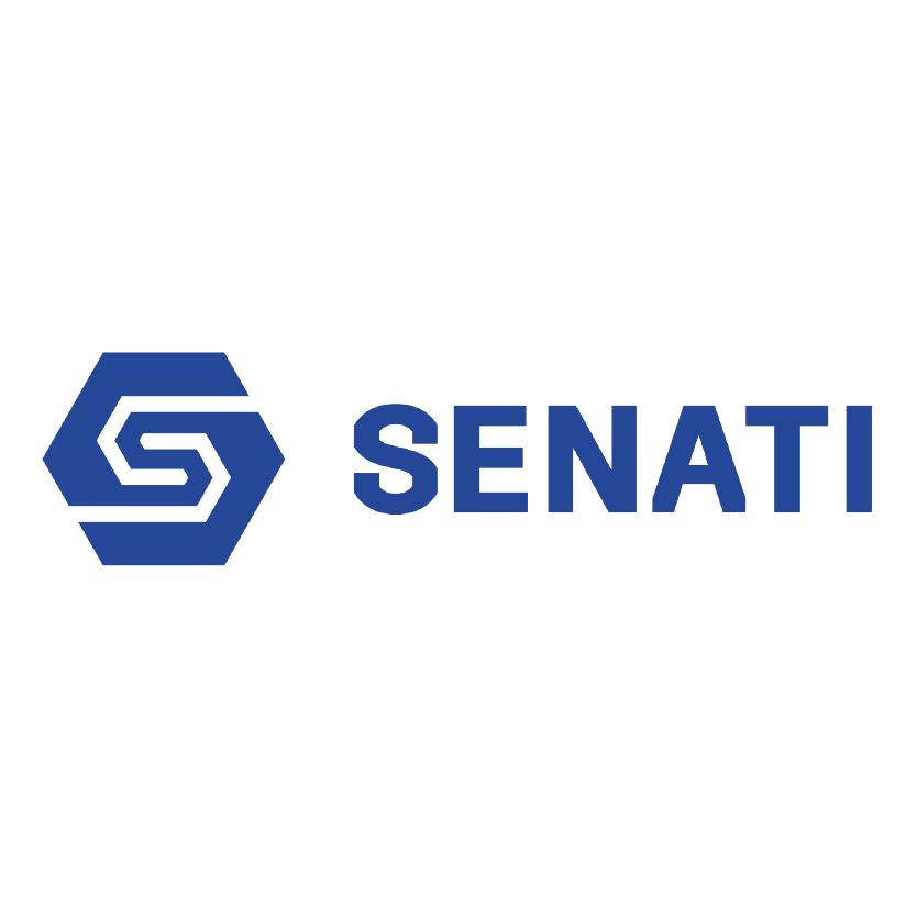 14 SENATI