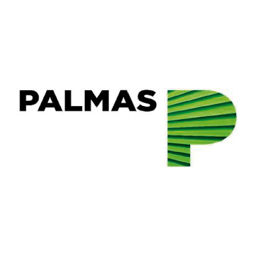 28 PALMAS